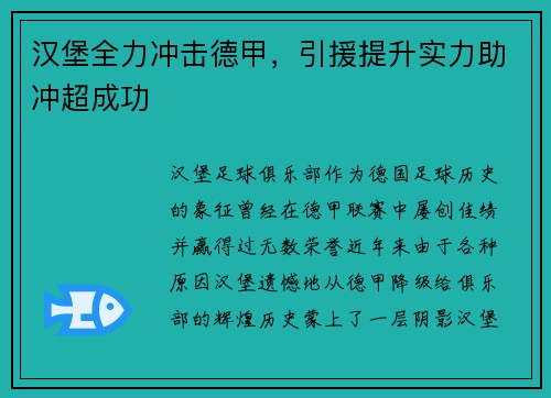 汉堡全力冲击德甲，引援提升实力助冲超成功